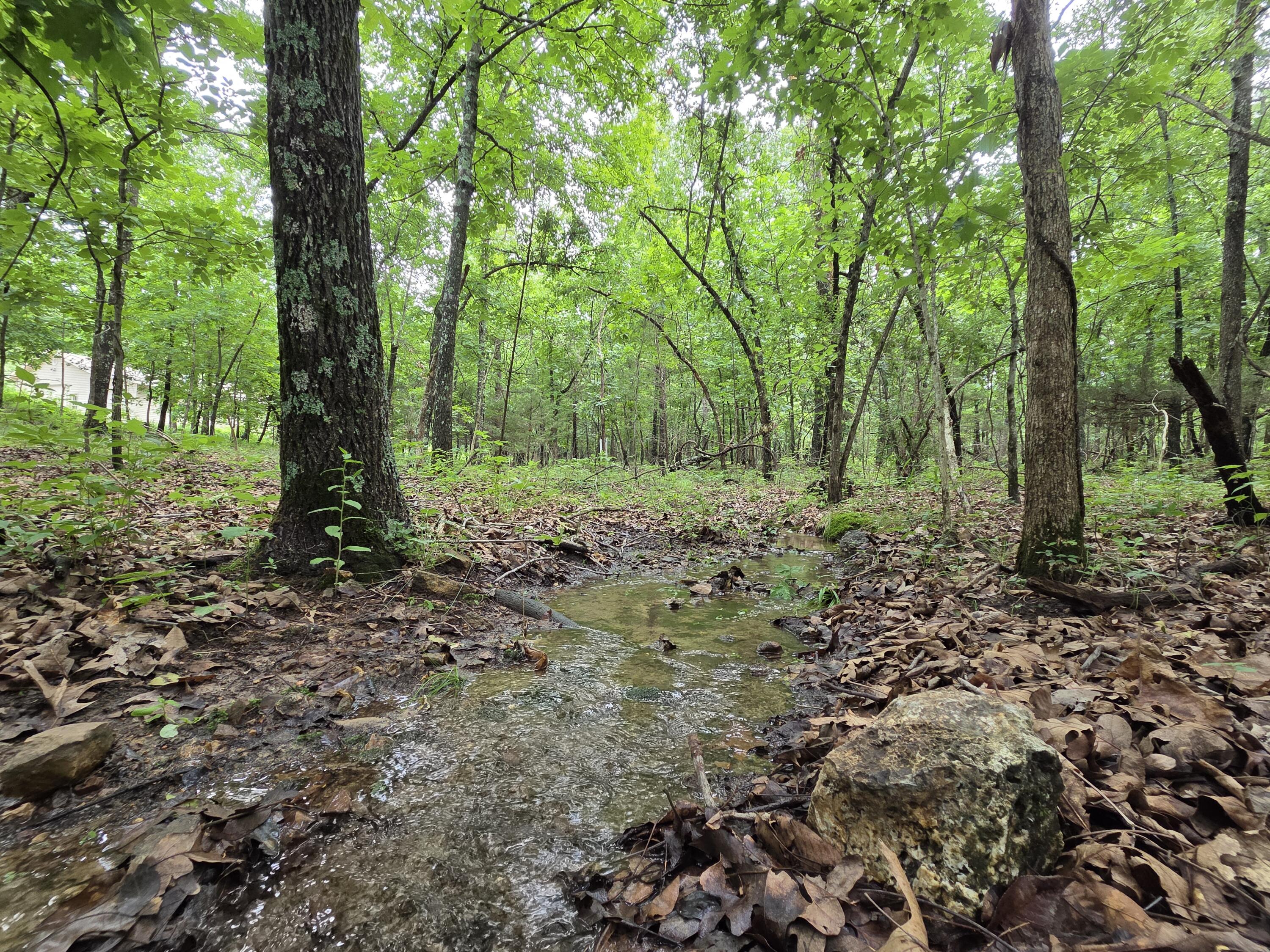 Photo 83 - Residential for sale – 1346  Golf Course Road  Marshfield, MO