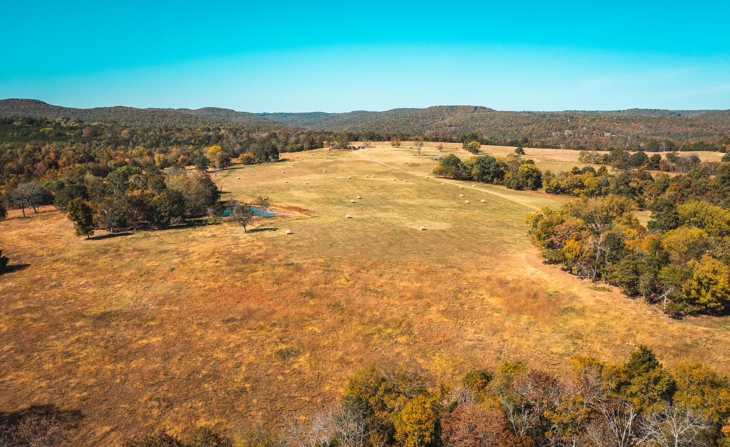 Photo 10 - Land for sale – 001  Gunnison Road  Kirbyville, MO