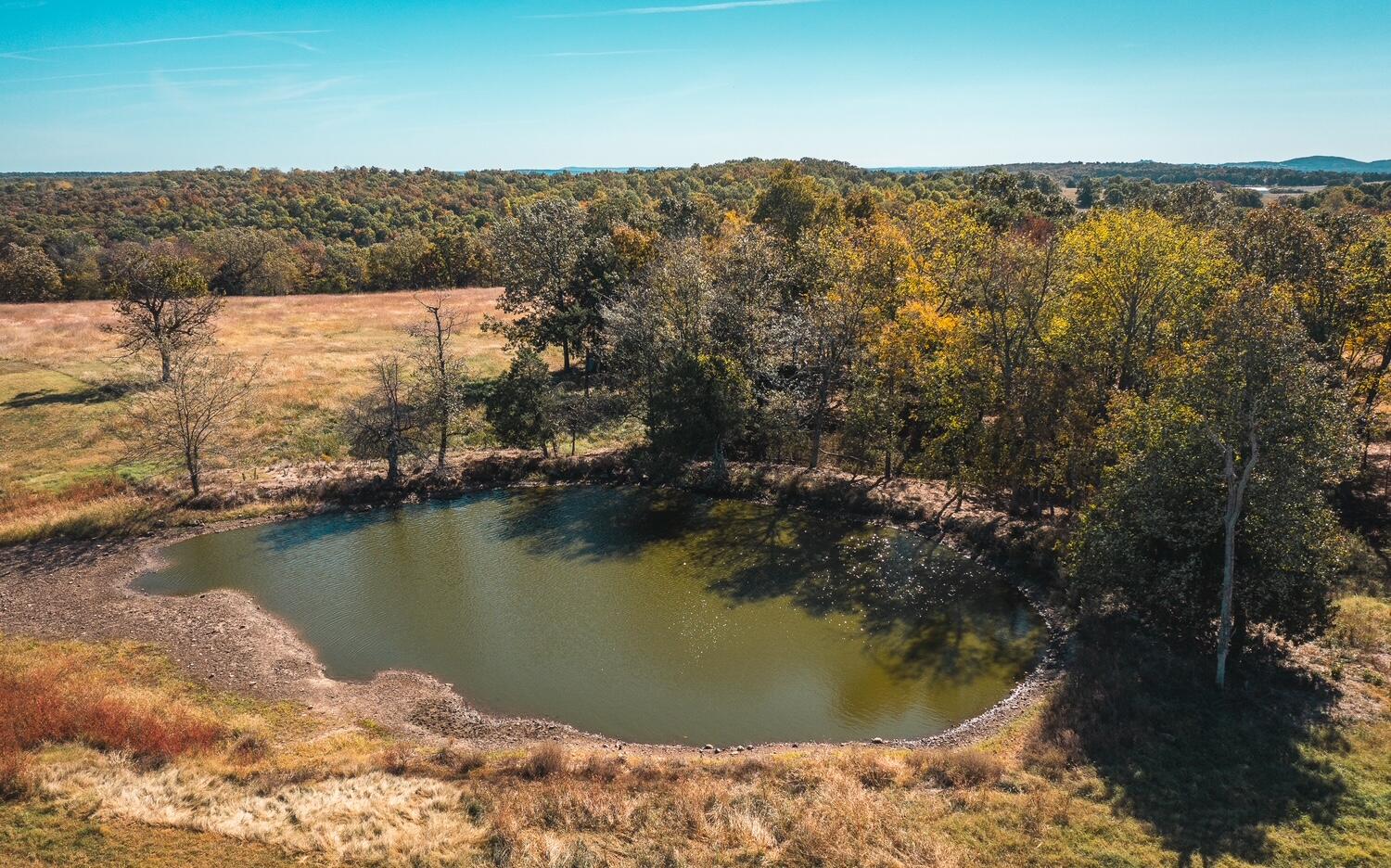 Photo 5 - Land for sale – 001  Gunnison Road  Kirbyville, MO