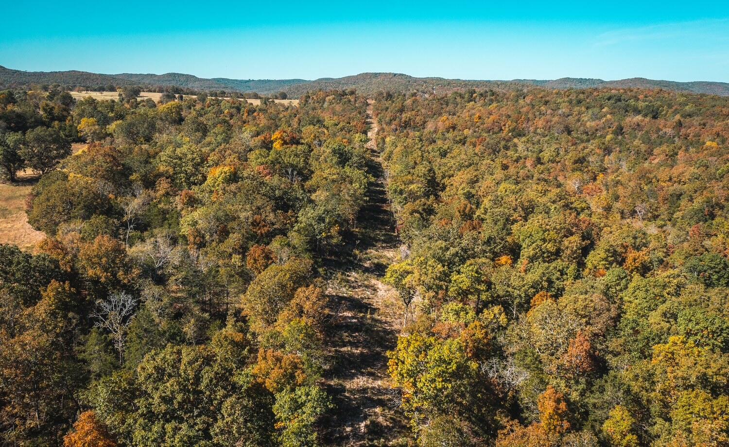 Photo 13 - Land for sale – 002  Gunnison Road  Kirbyville, MO