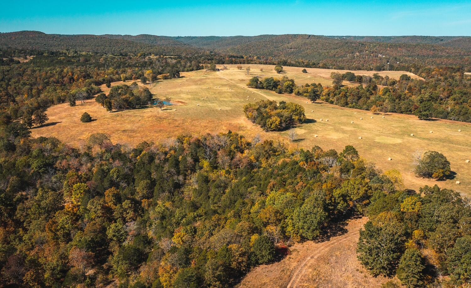 Photo 9 - Land for sale – 003  Gunnison Road  Kirbyville, MO