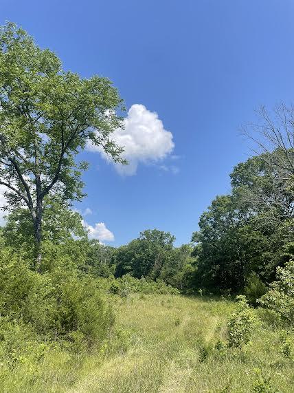 Land for sale – 000 Co Rd 304 Ava, MO