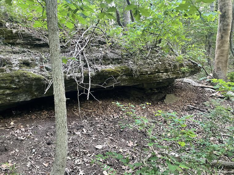 Photo 14 - Land for sale – 000  Co Rd 304   Ava, MO