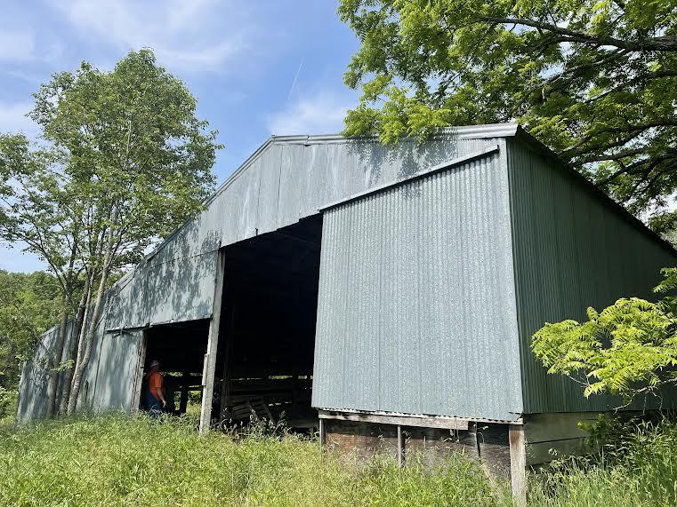 Photo 6 - Land for sale – 000  Co Rd 304   Ava, MO
