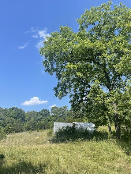 Photo 9 - Land for sale – 000  Co Rd 304   Ava, MO