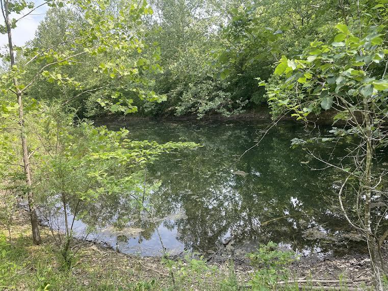Photo 3 - Land for sale – 000  Co Rd 304   Ava, MO