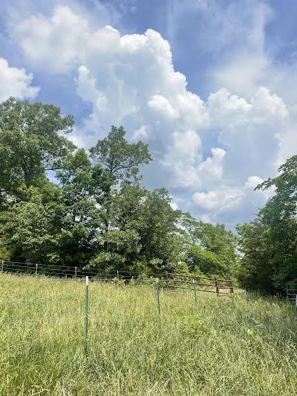 Photo 4 - Land for sale – 000  Co Rd 304   Ava, MO