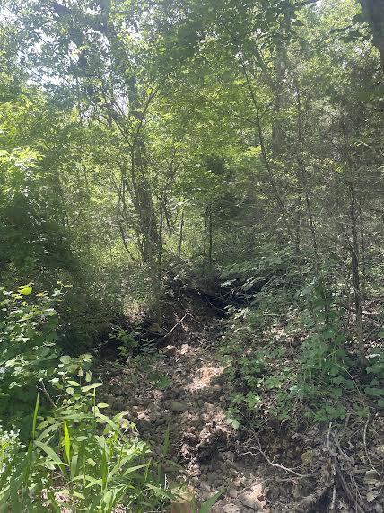 Photo 7 - Land for sale – 000  Co Rd 304   Ava, MO