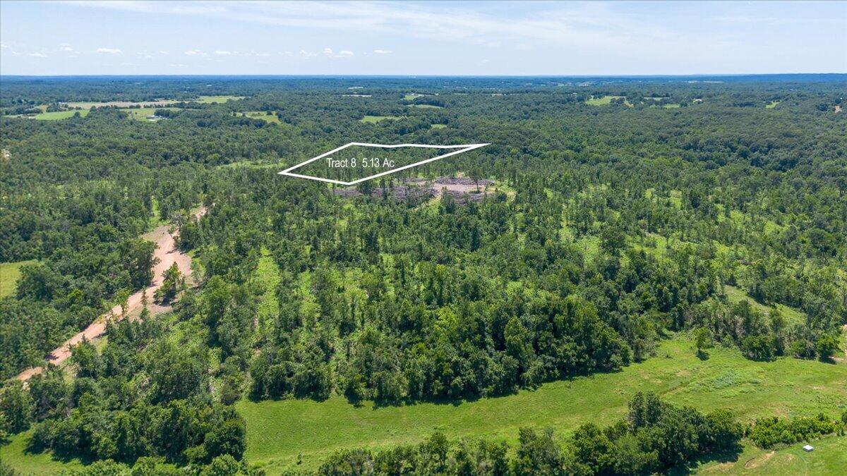 Land for sale – Lot 8  Adams Road  Goodman, MO