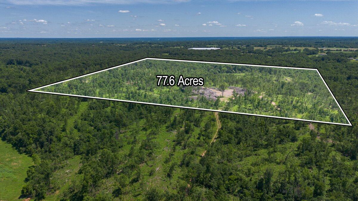 Photo 3 - Land for sale – Lot 8  Adams Road  Goodman, MO