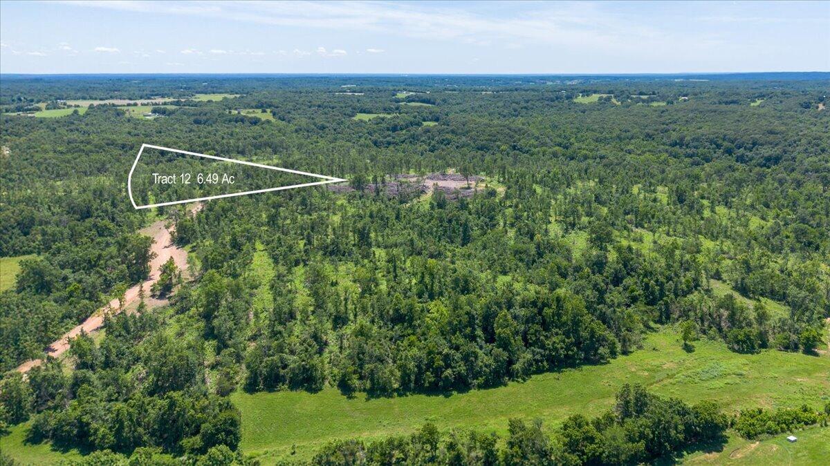 Land for sale – Lot 12  Adams Road  Goodman, MO