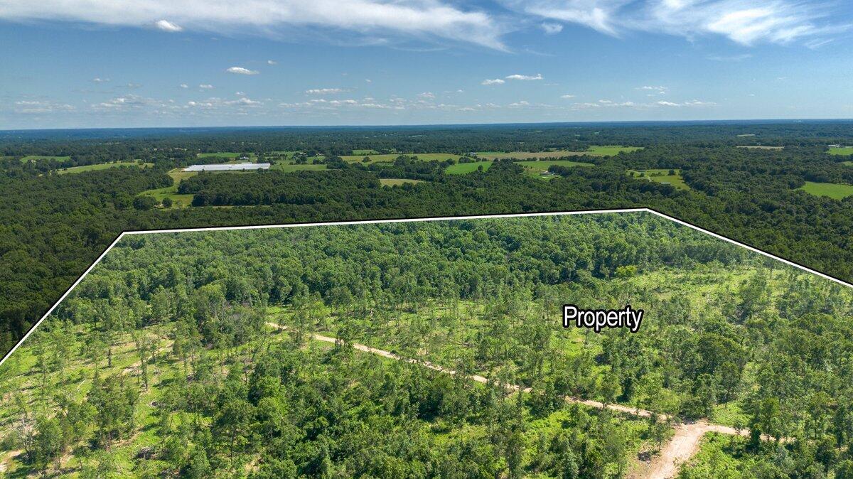 Photo 4 - Land for sale – Lot 13  Adams Road  Goodman, MO