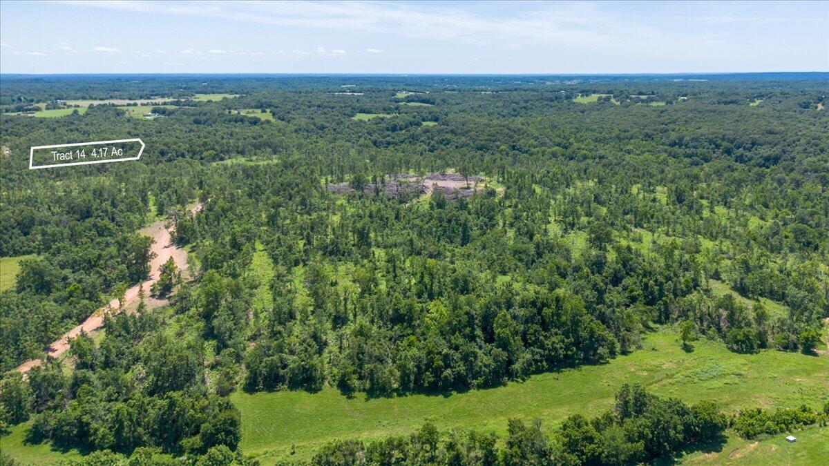 Land for sale – Lot 14  Adams Road  Goodman, MO