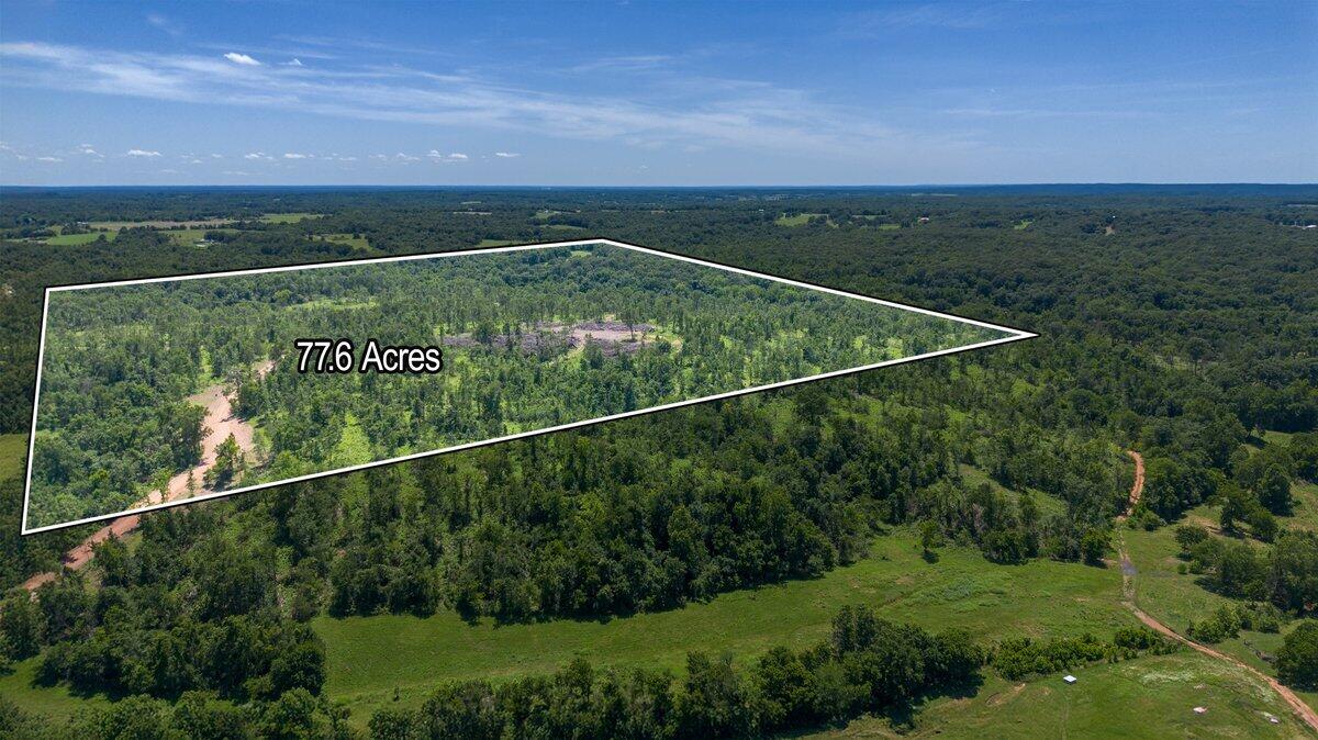 Photo 6 - Land for sale – Lot 14  Adams Road  Goodman, MO