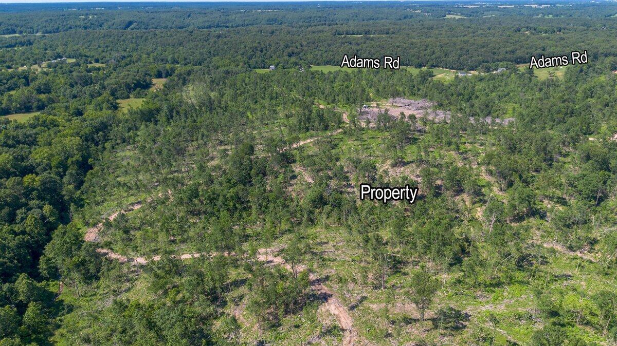Photo 15 - Land for sale – Lot 14  Adams Road  Goodman, MO