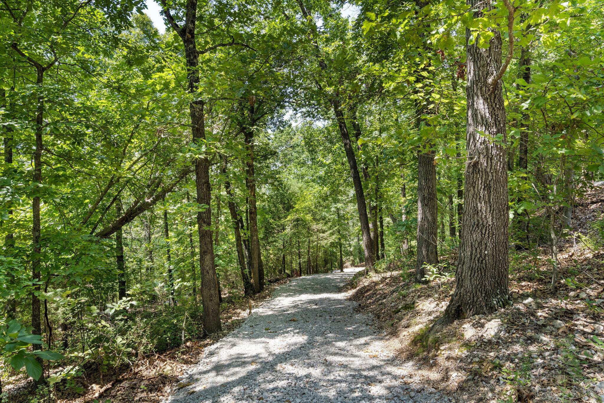 Photo 3 - Land for sale – Tbd  Wildlife Trail  Branson, MO