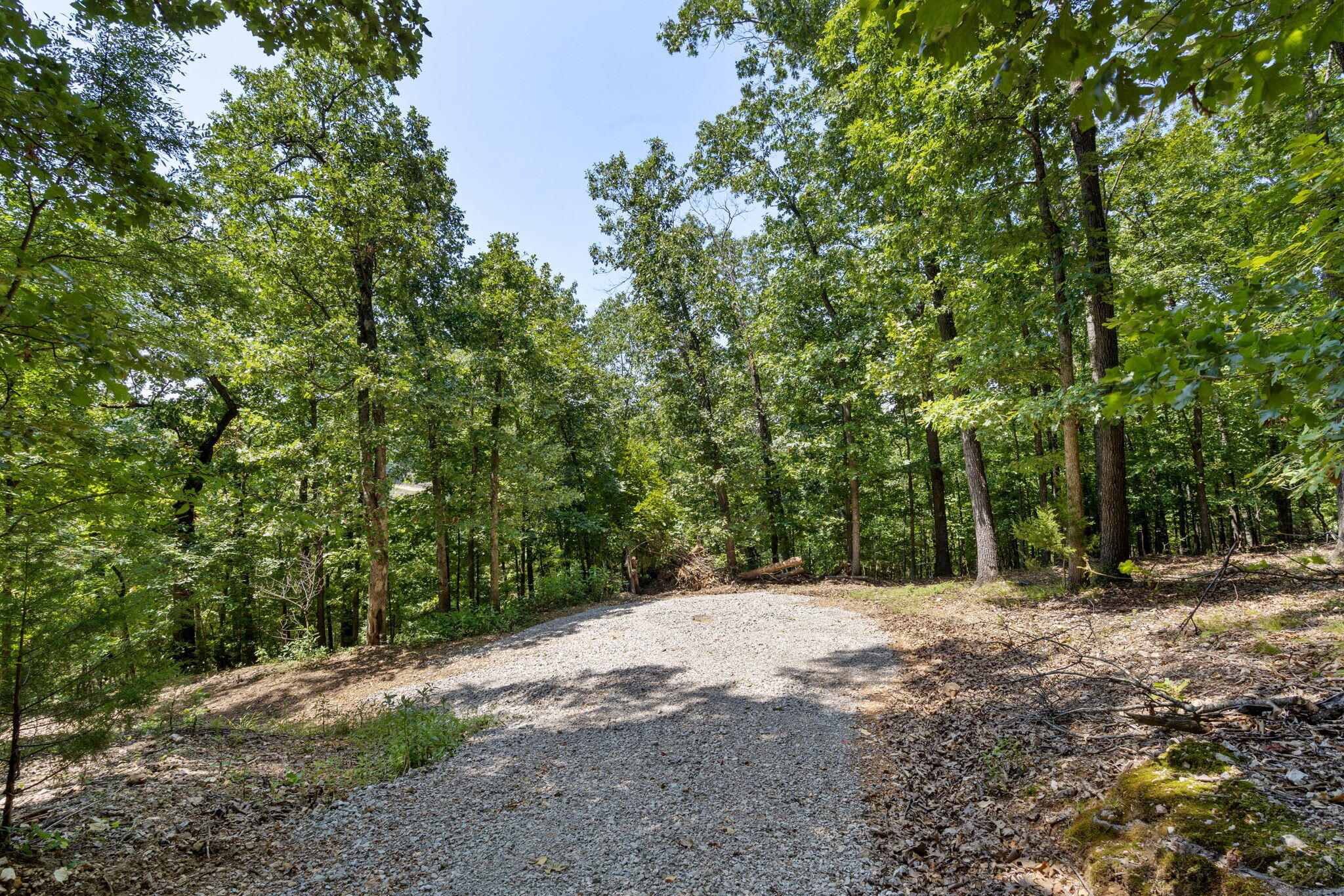 Photo 6 - Land for sale – Tbd  Wildlife Trail  Branson, MO