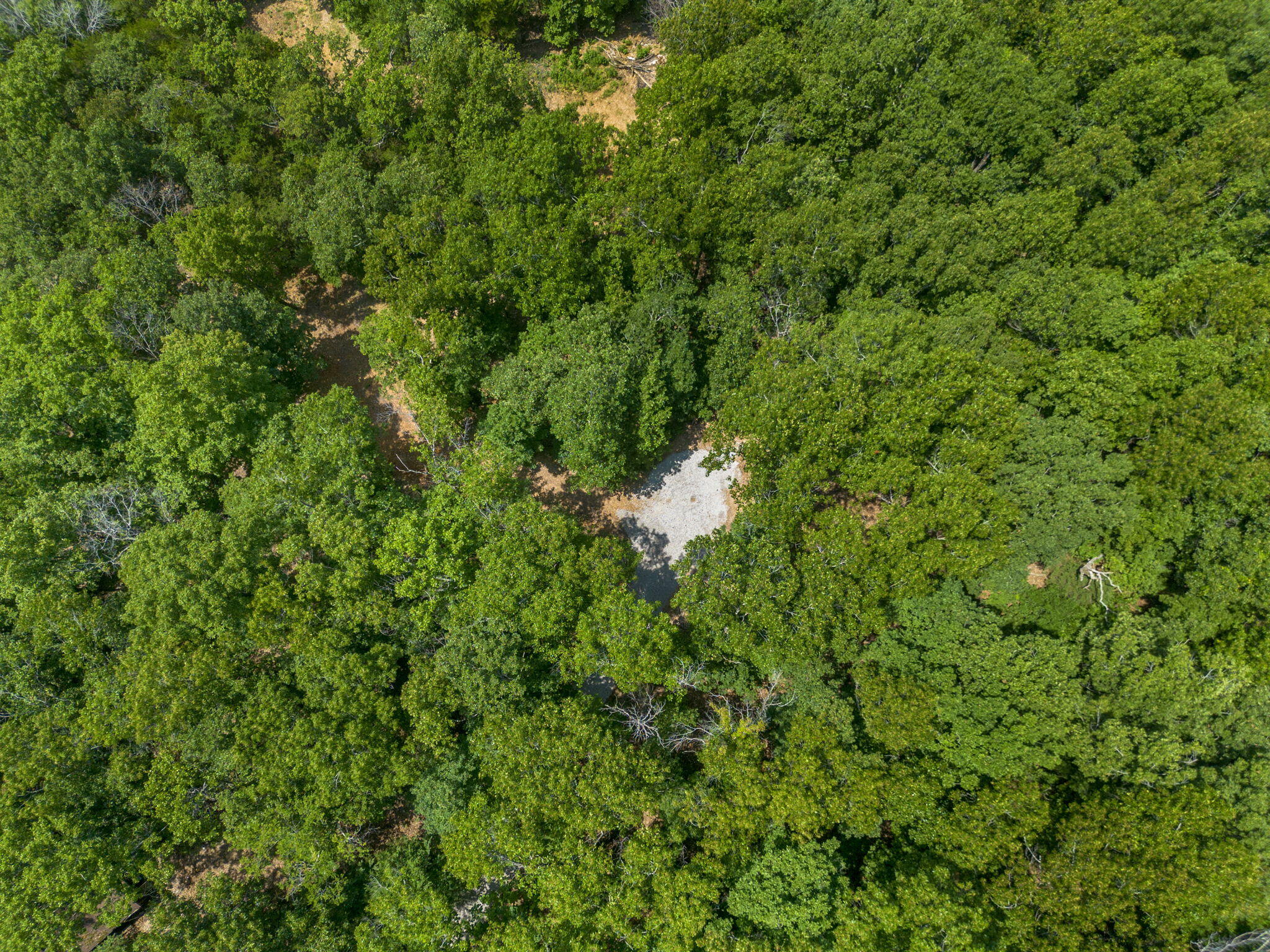 Photo 49 - Land for sale – Tbd  Wildlife Trail  Branson, MO