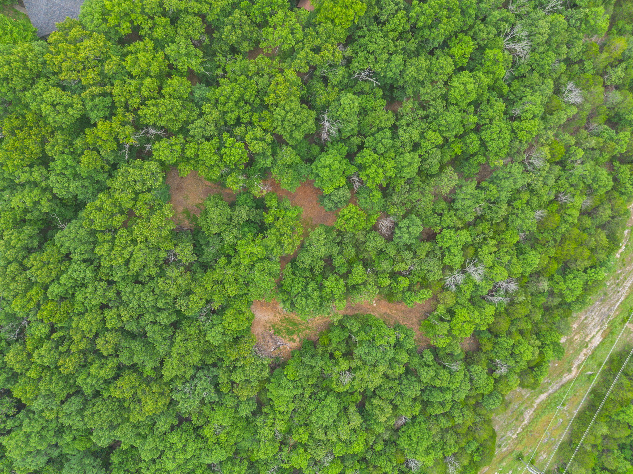 Photo 19 - Land for sale – Tbd  Wildlife Trail  Branson, MO