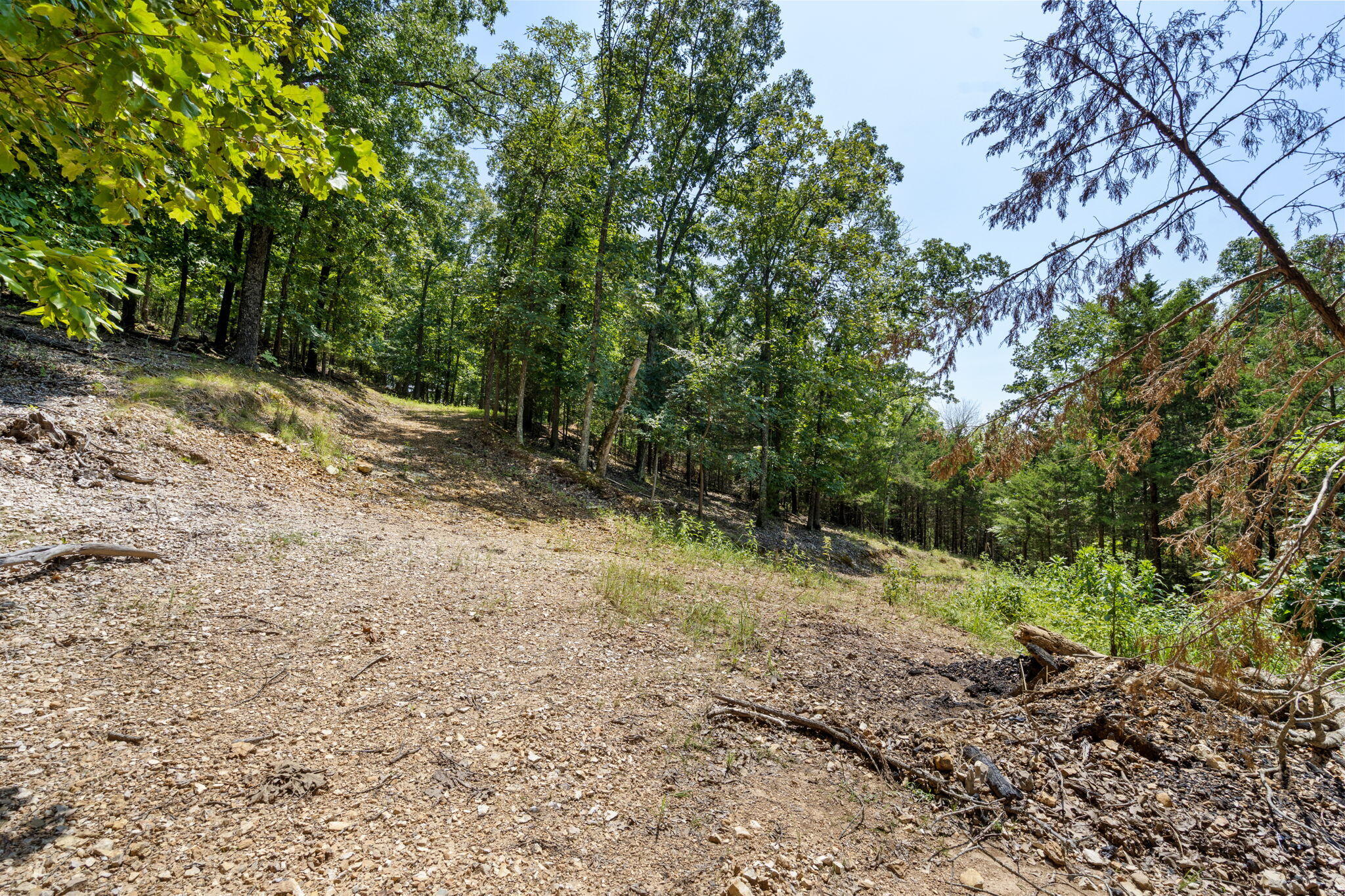 Photo 9 - Land for sale – Tbd  Wildlife Trail  Branson, MO