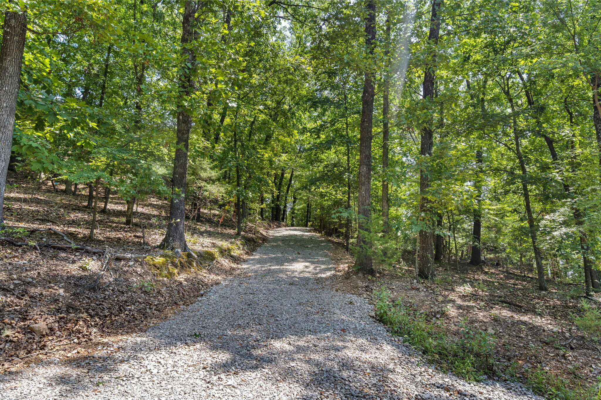 Photo 4 - Land for sale – Tbd  Wildlife Trail  Branson, MO