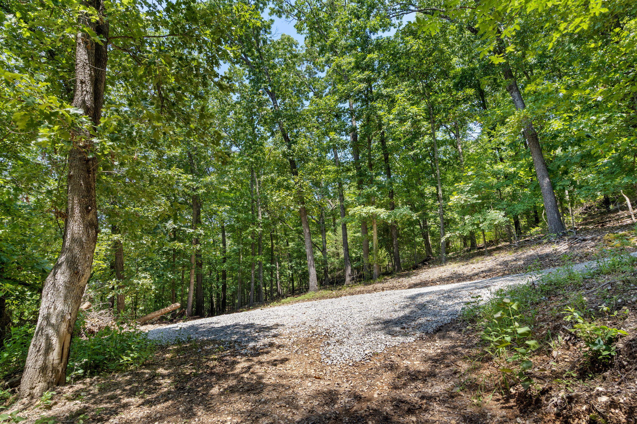 Photo 8 - Land for sale – Tbd  Wildlife Trail  Branson, MO