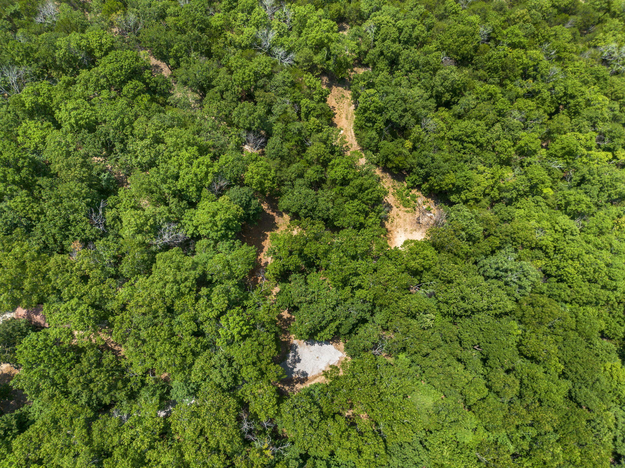 Photo 50 - Land for sale – Tbd  Wildlife Trail  Branson, MO