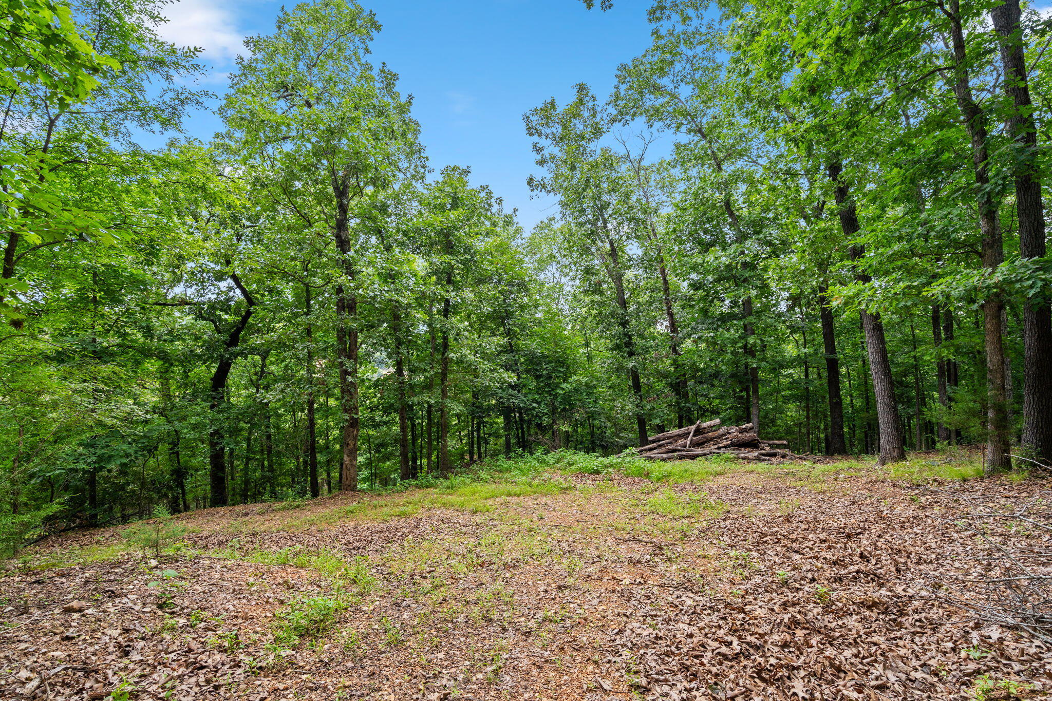 Photo 13 - Land for sale – Tbd  Wildlife Trail  Branson, MO