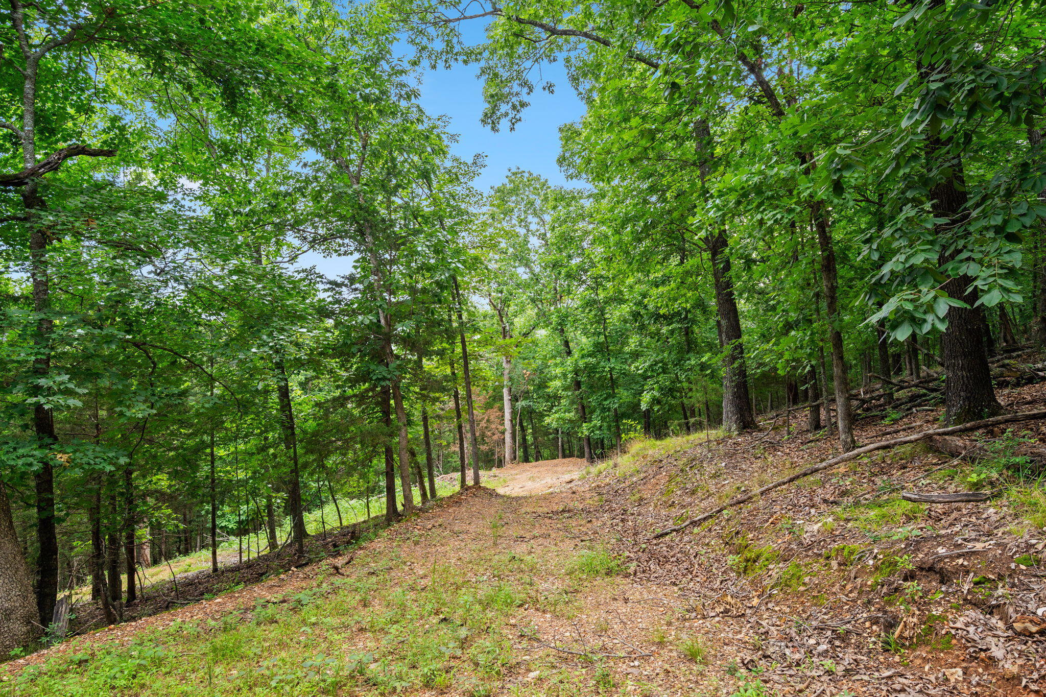 Photo 17 - Land for sale – Tbd  Wildlife Trail  Branson, MO