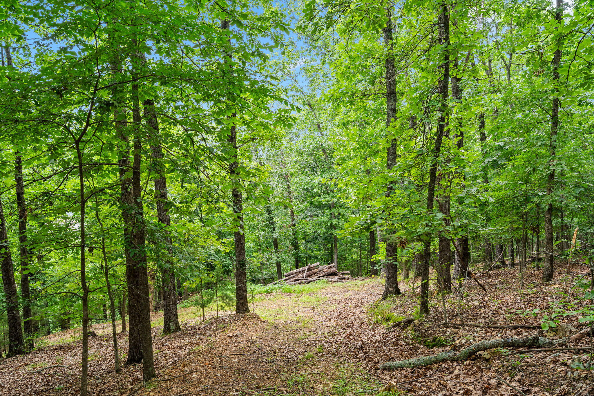 Photo 12 - Land for sale – Tbd  Wildlife Trail  Branson, MO