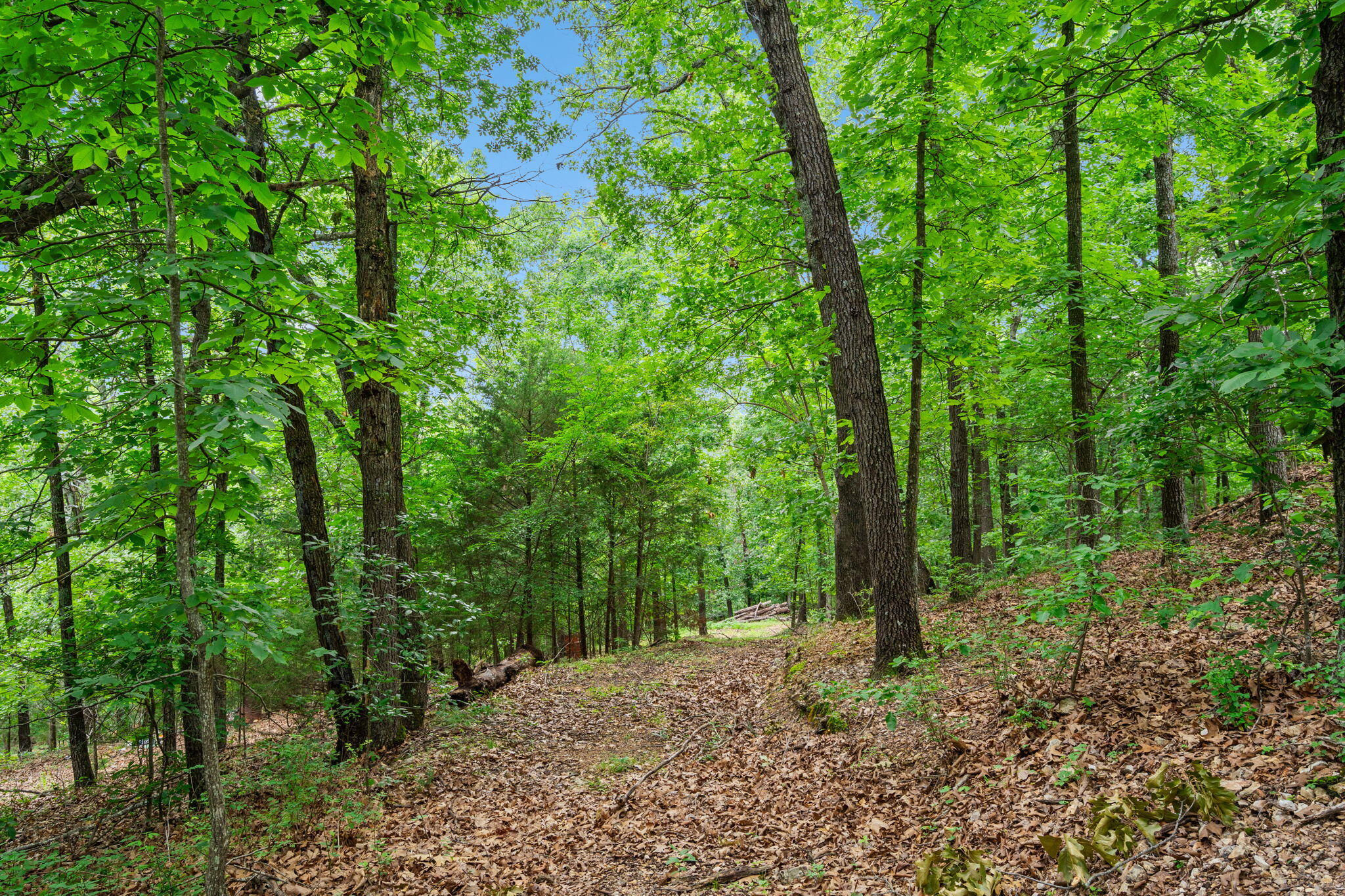 Photo 11 - Land for sale – Tbd  Wildlife Trail  Branson, MO
