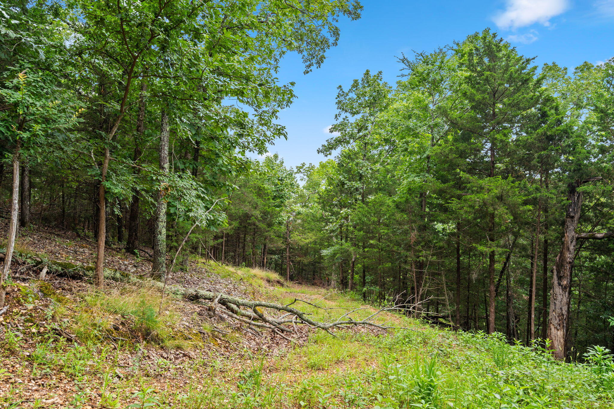 Photo 18 - Land for sale – Tbd  Wildlife Trail  Branson, MO