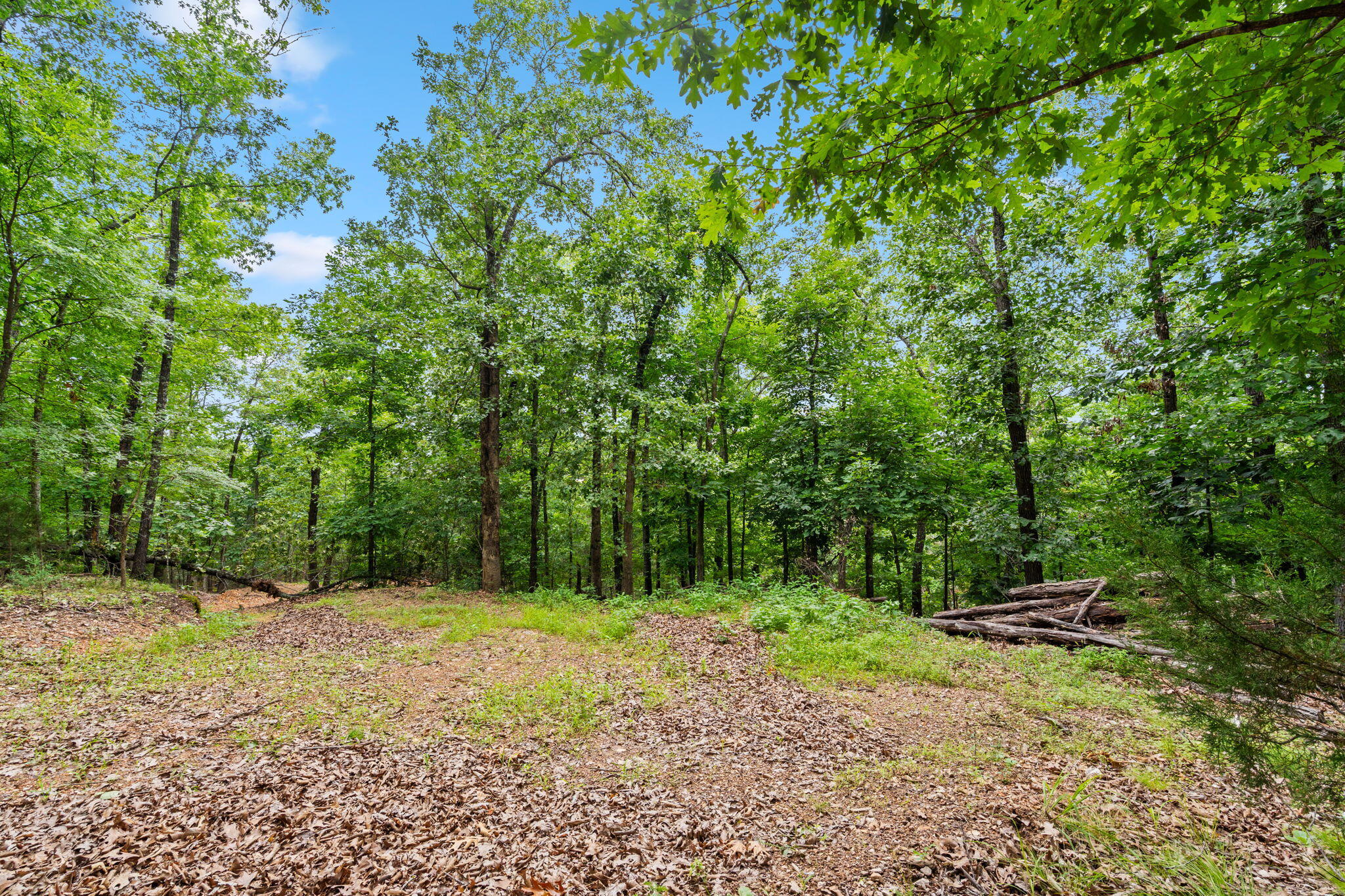 Photo 14 - Land for sale – Tbd  Wildlife Trail  Branson, MO