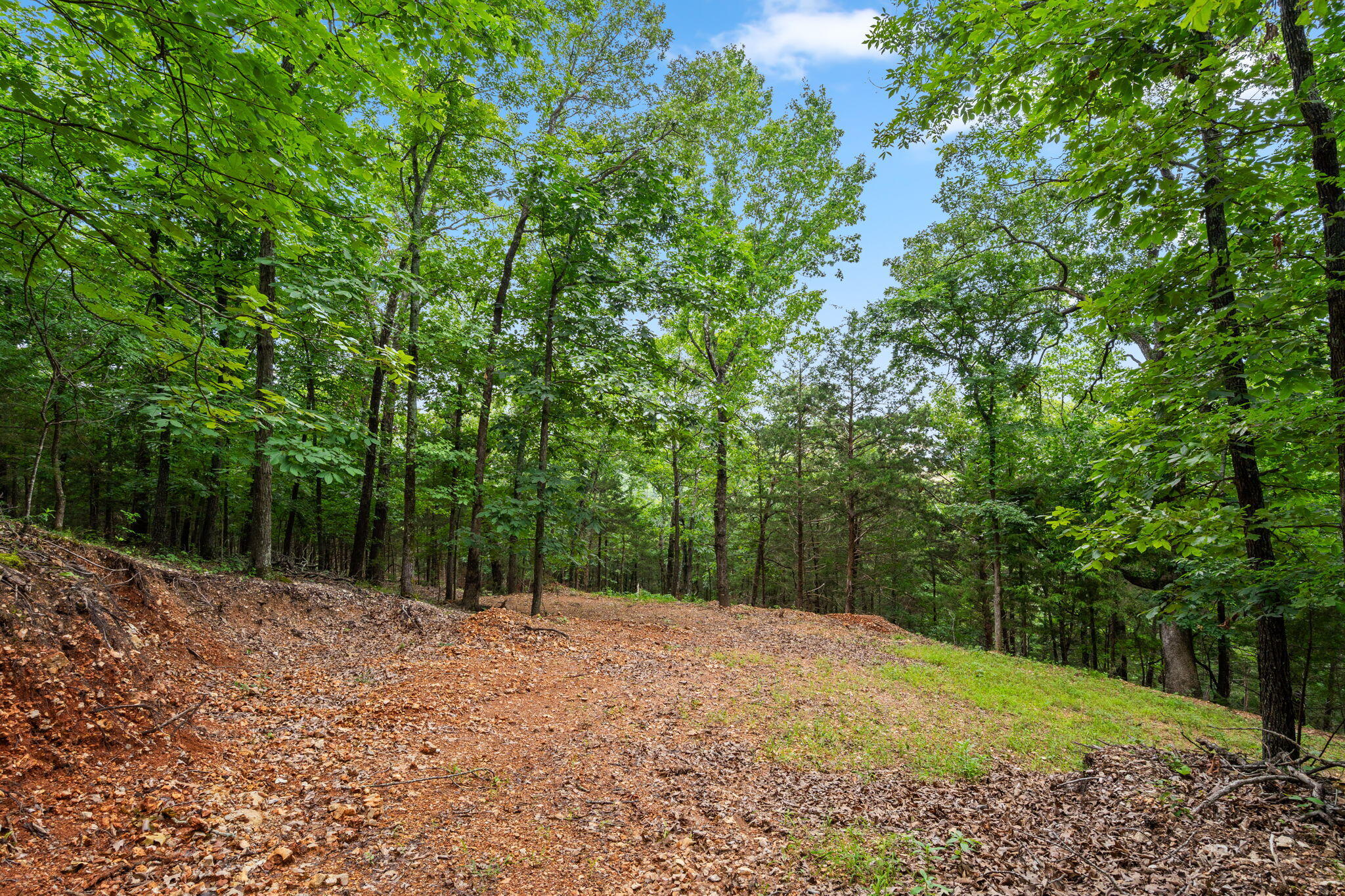 Photo 16 - Land for sale – Tbd  Wildlife Trail  Branson, MO