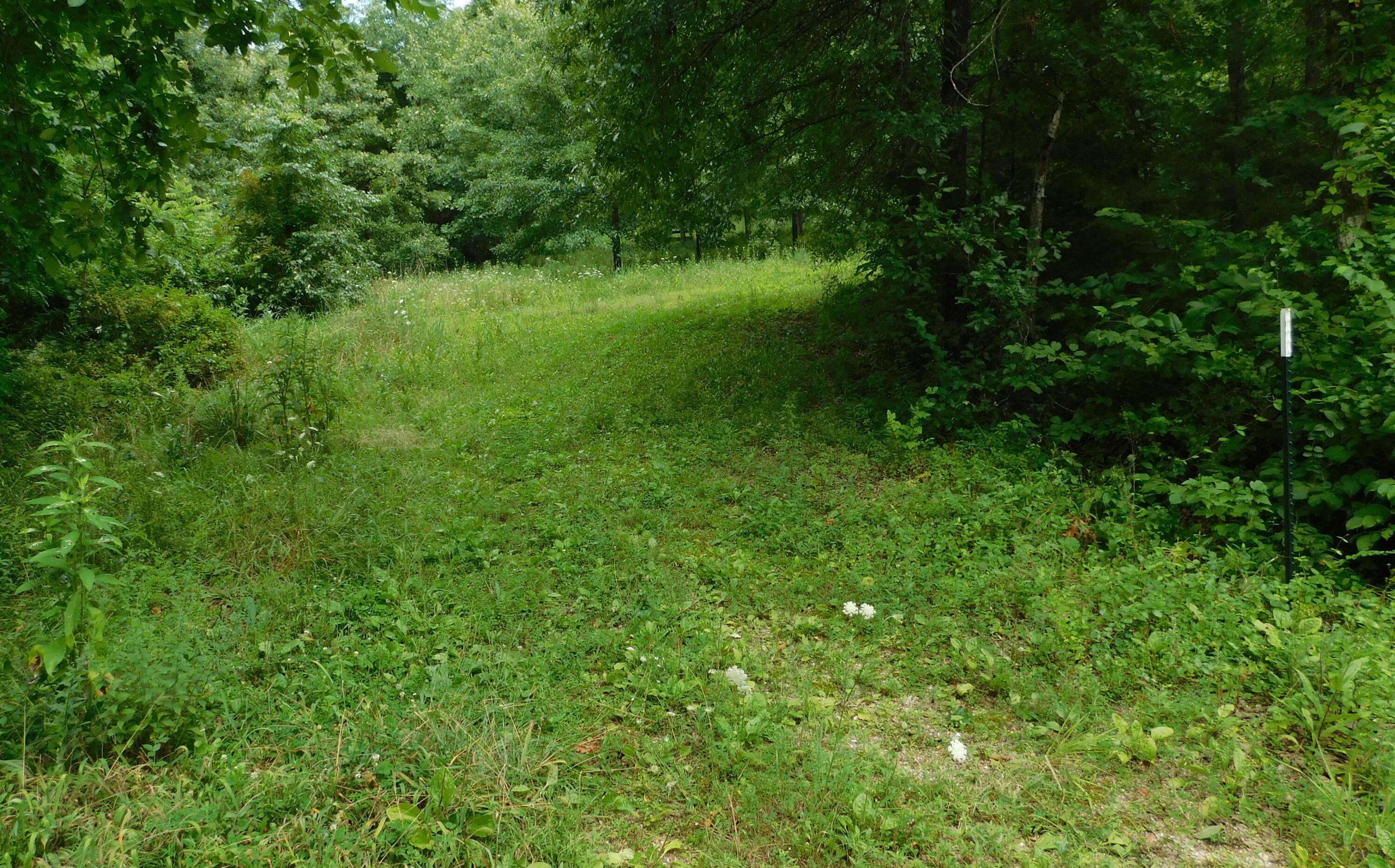 Land for sale – 4286 SE 871 Road  Collins, MO