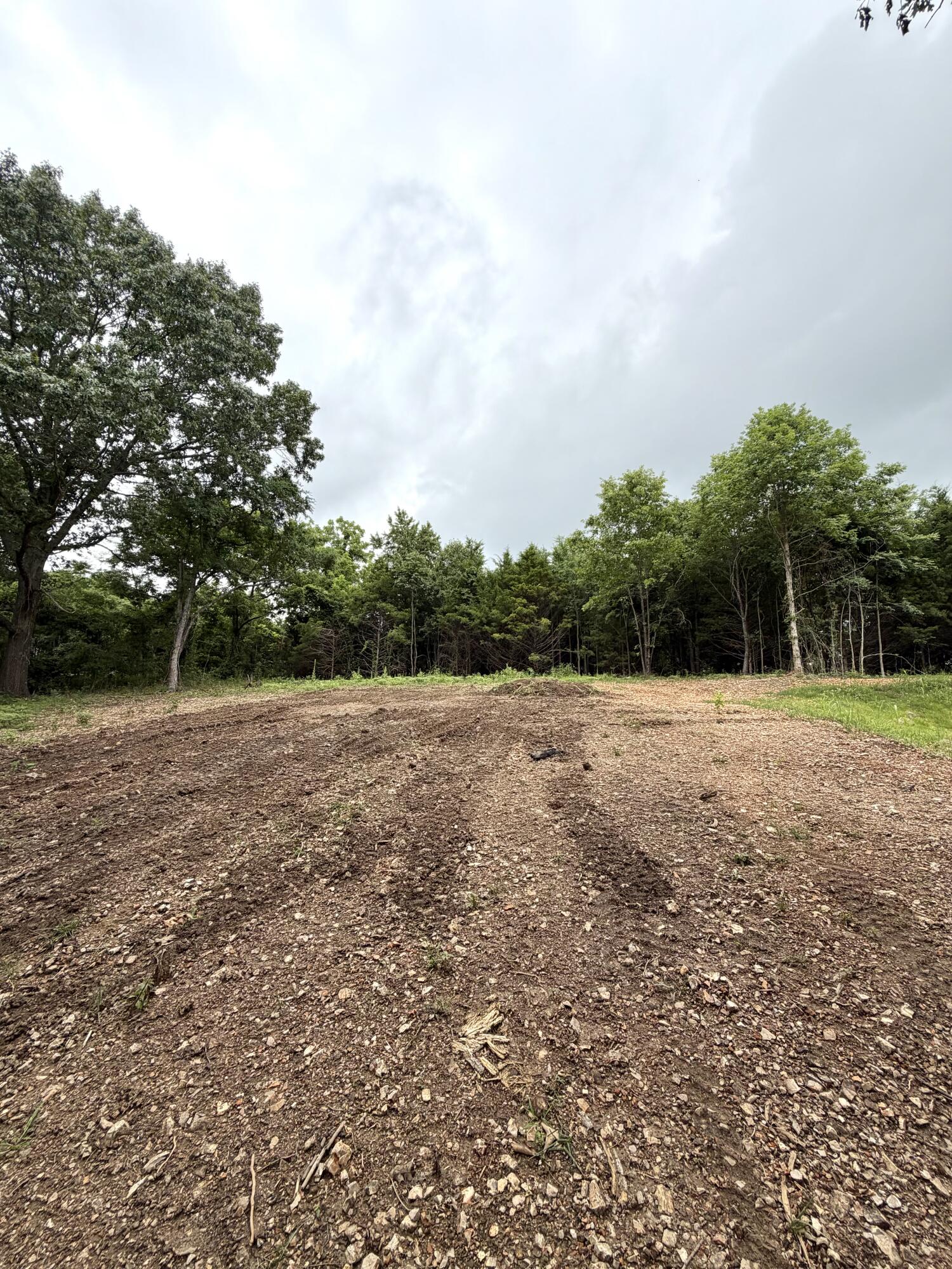 Photo 4 - Land for sale – Lot 12  Hanging Branch   Cape Fair, MO