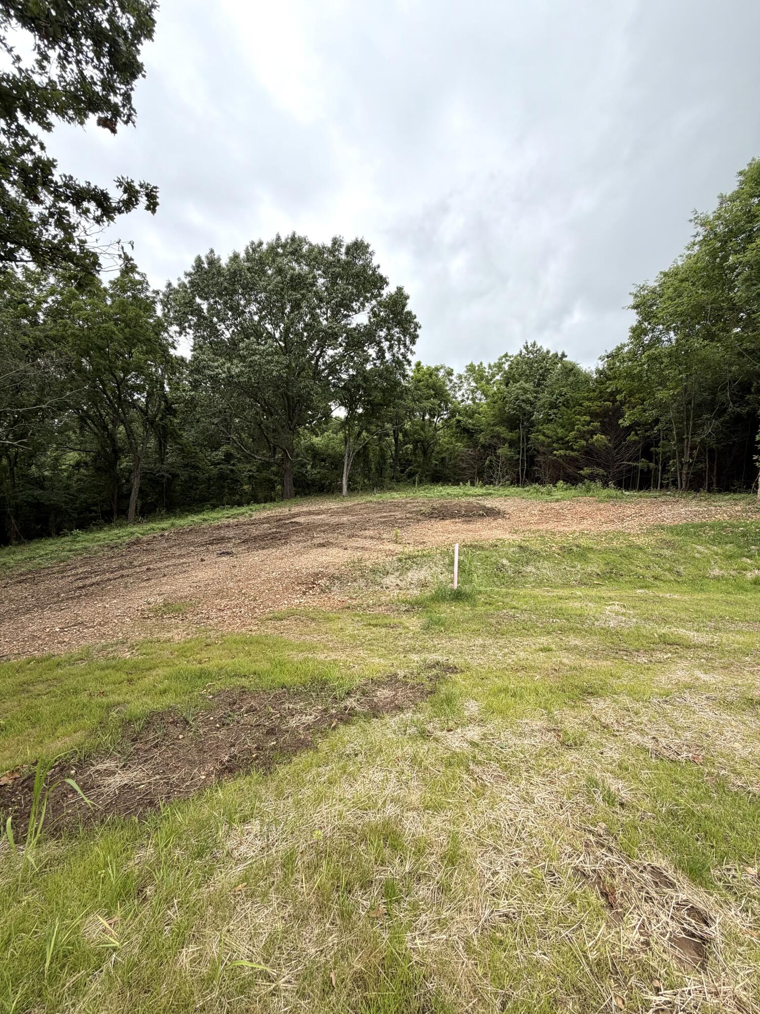 Photo 3 - Land for sale – Lot 12  Hanging Branch   Cape Fair, MO