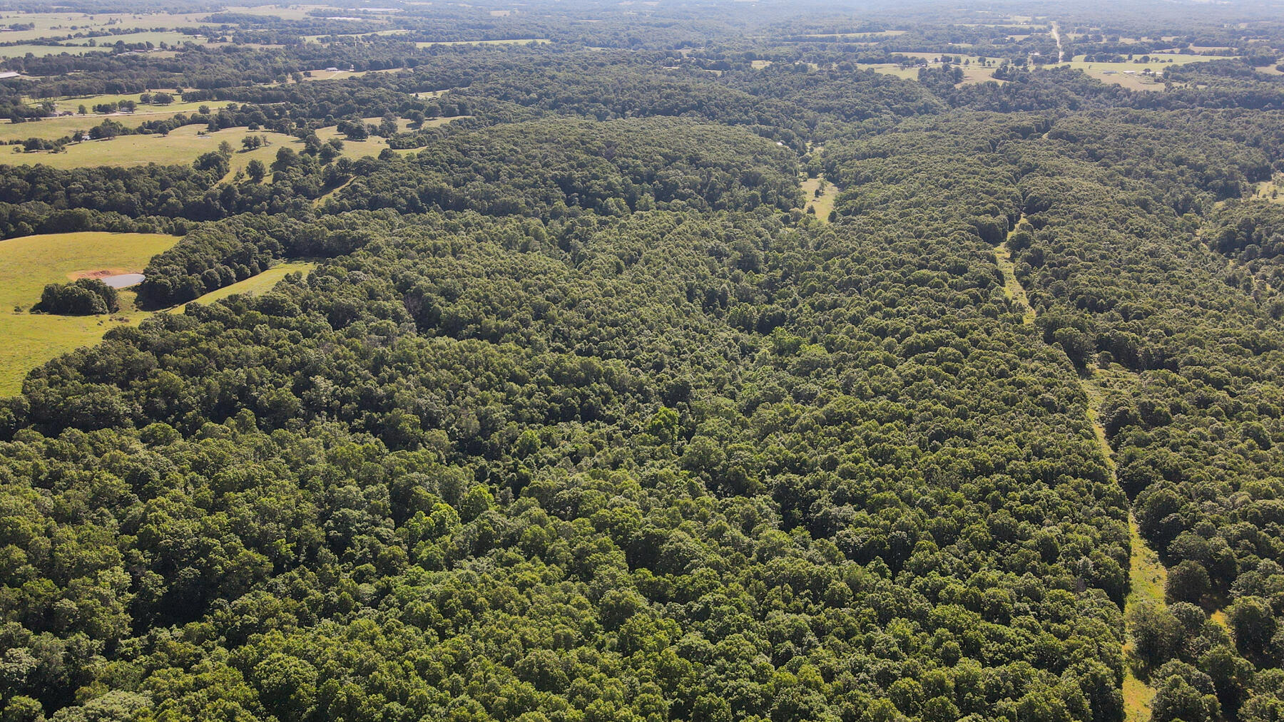 Photo 3 - Land for sale – 000  Private Drive Off Of Fr 1245   Aurora, MO