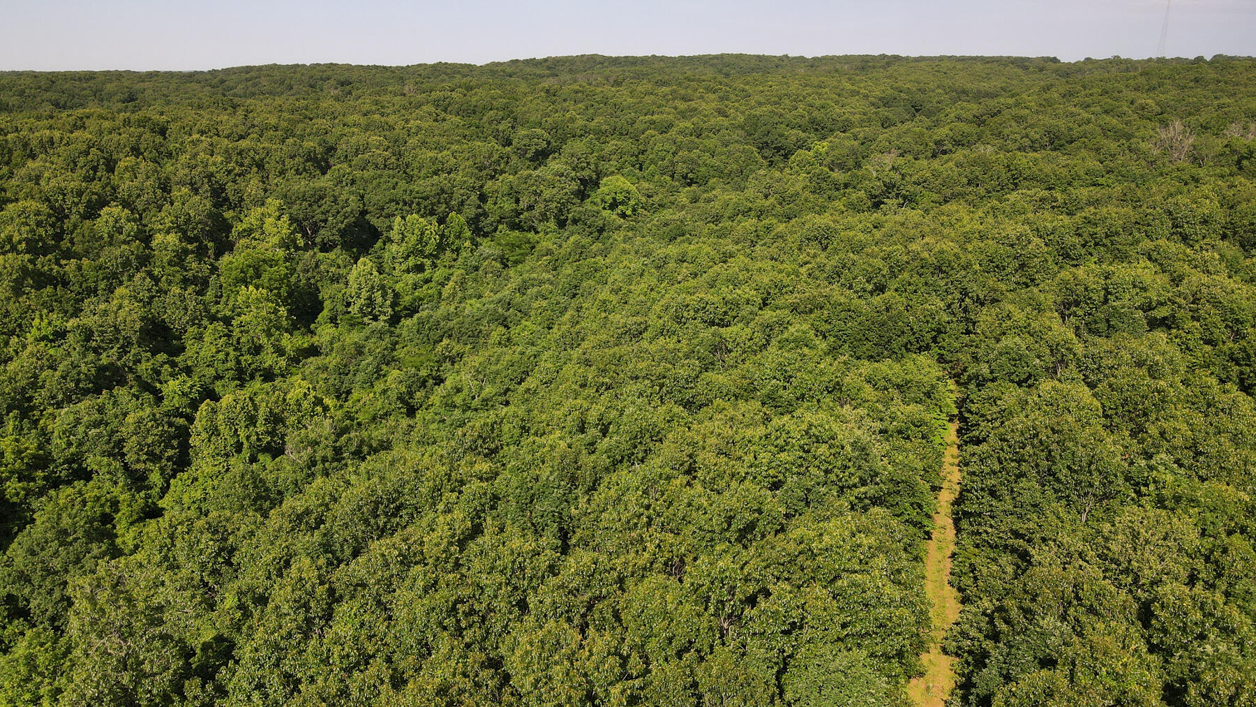 Photo 10 - Land for sale – 000  Private Drive Off Of Fr 1245   Aurora, MO