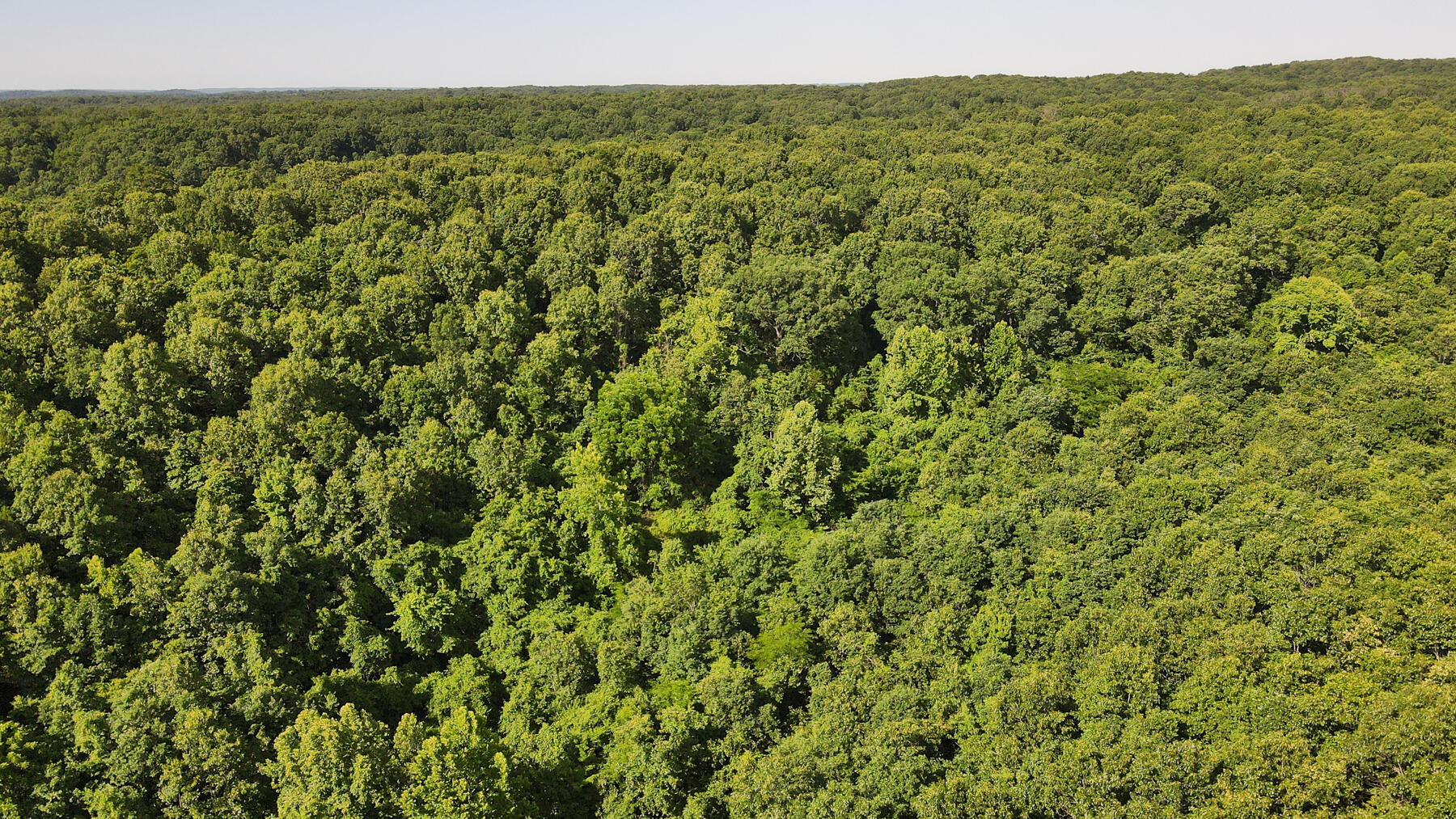 Photo 11 - Land for sale – 000  Private Drive Off Of Fr 1245   Aurora, MO