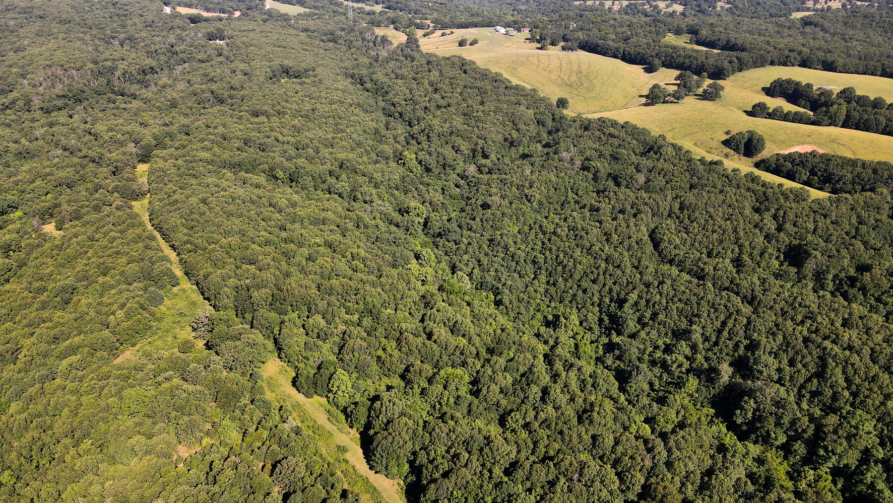 Photo 6 - Land for sale – 000  Private Drive Off Of Fr 1245   Aurora, MO