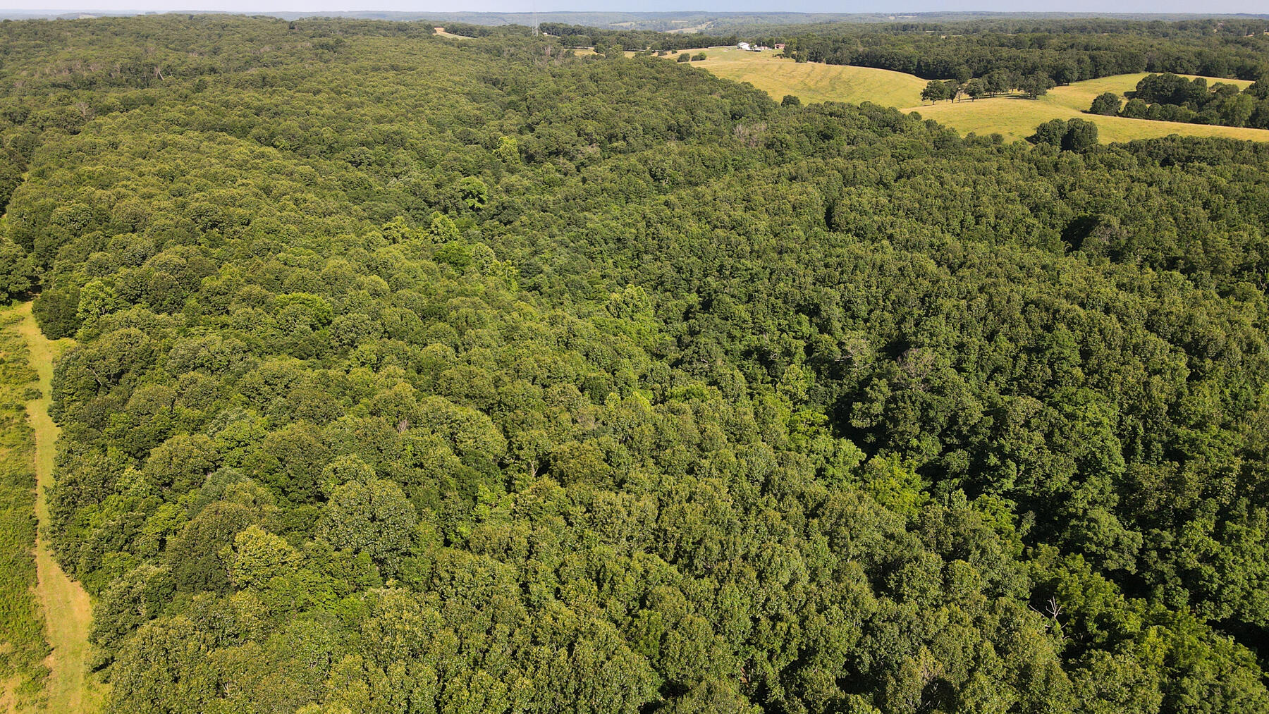 Photo 7 - Land for sale – 000  Private Drive Off Of Fr 1245   Aurora, MO