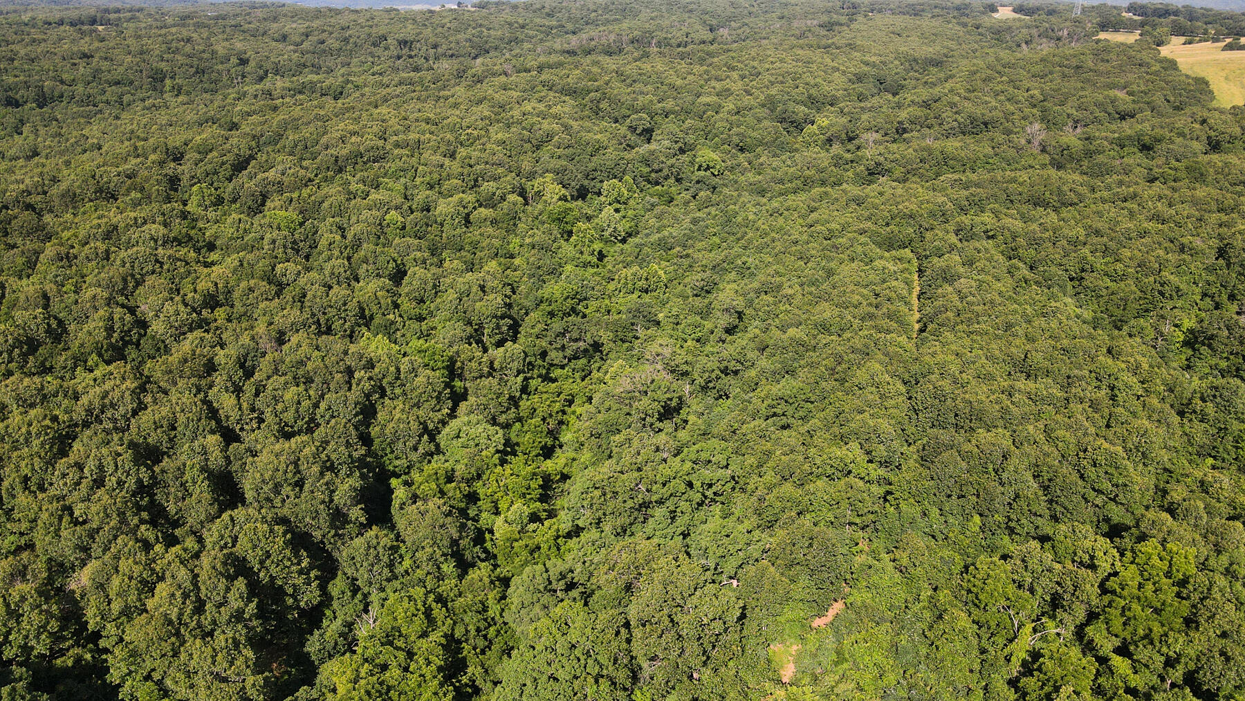 Photo 8 - Land for sale – 000  Private Drive Off Of Fr 1245   Aurora, MO