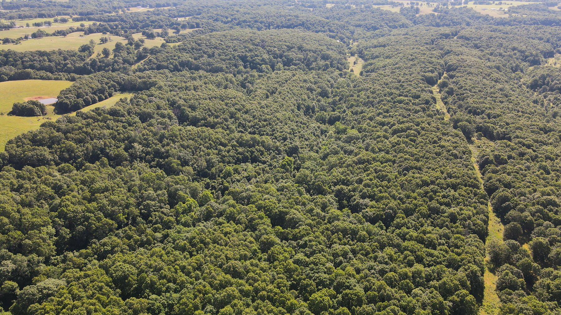 Photo 2 - Land for sale – 000  Private Drive Off Of Fr 1245   Aurora, MO