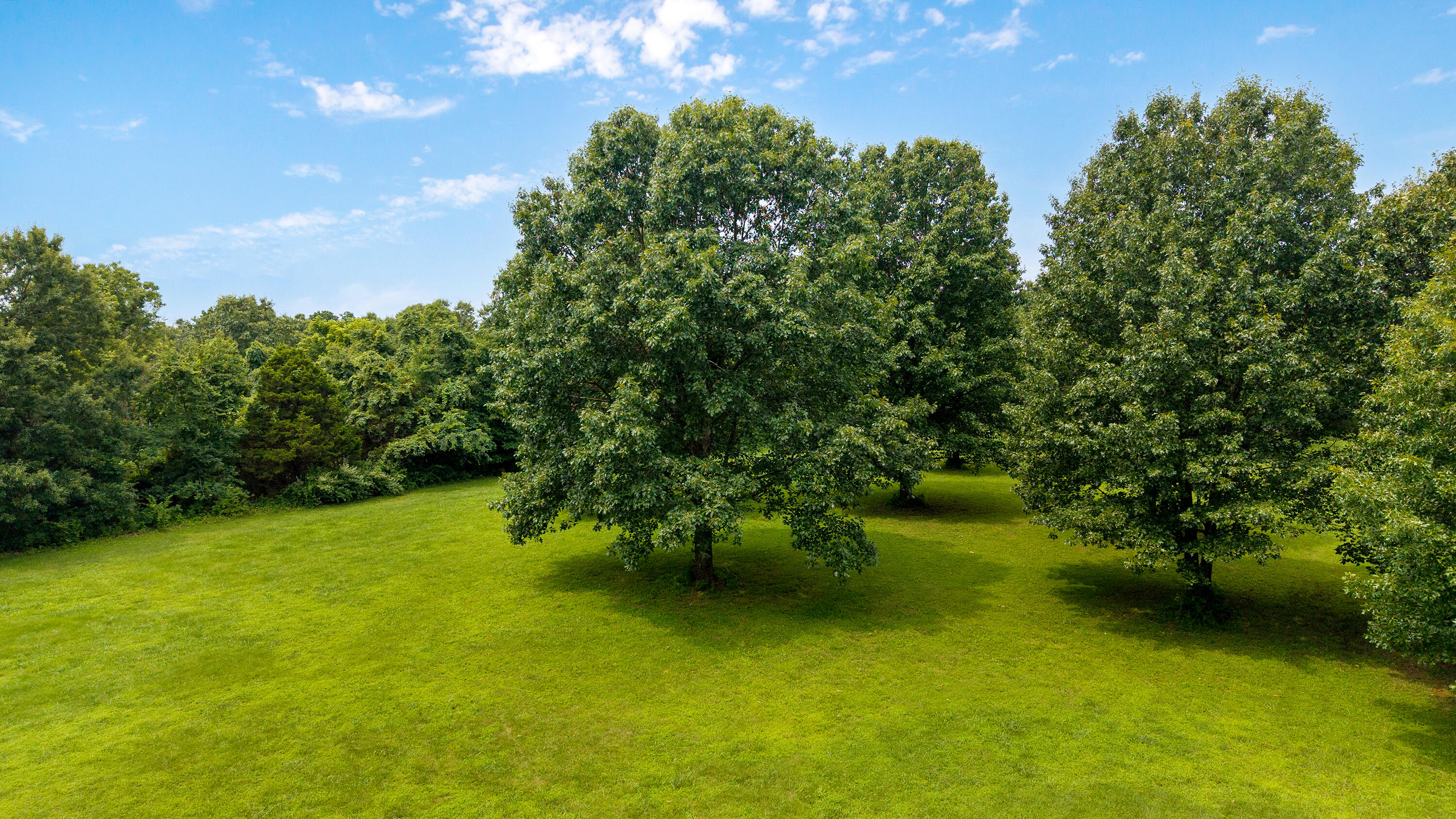 Photo 66 - Residential for sale – 5725 S Farm Rd 131   Brookline, MO