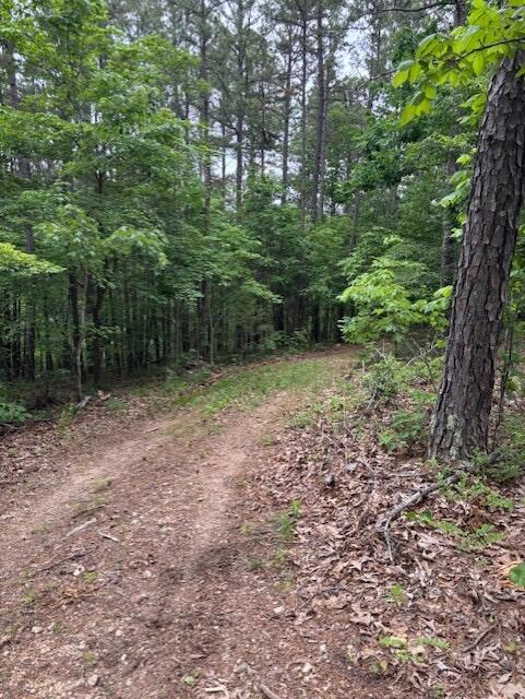 Photo 3 - Land for sale – Tbd  County Road 272   Vanzant, MO