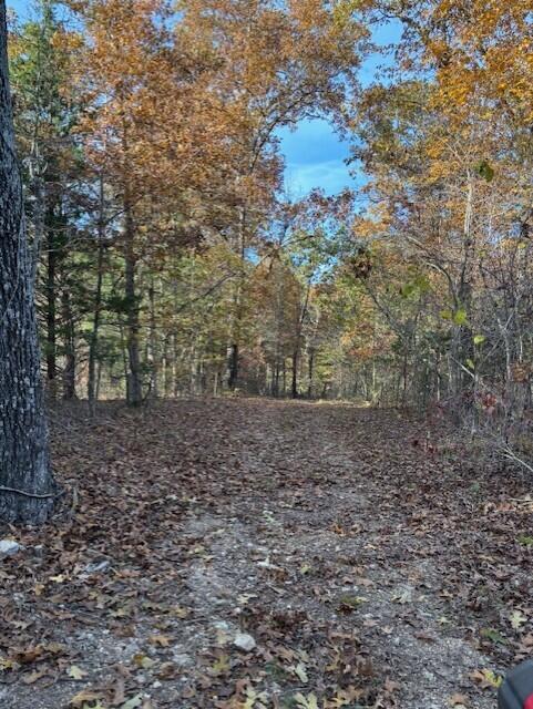 Photo 8 - Land for sale – Tbd  County Road 272   Vanzant, MO