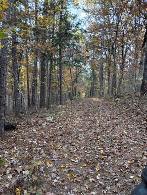 Photo 12 - Land for sale – Tbd  County Road 272   Vanzant, MO