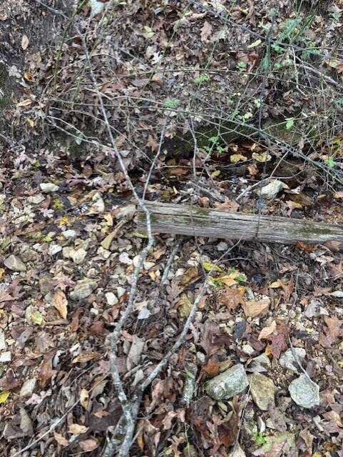 Photo 22 - Land for sale – Tbd  County Road 272   Vanzant, MO