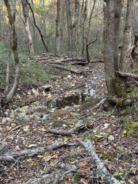 Photo 27 - Land for sale – Tbd  County Road 272   Vanzant, MO